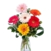 Ramo colorido